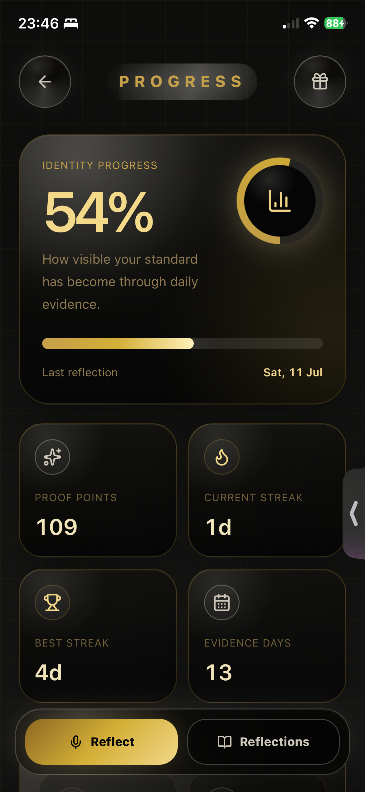Standard discipline progress and streak screen